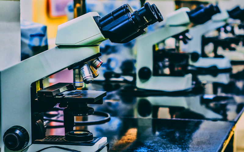 What Is The Scientific Method?