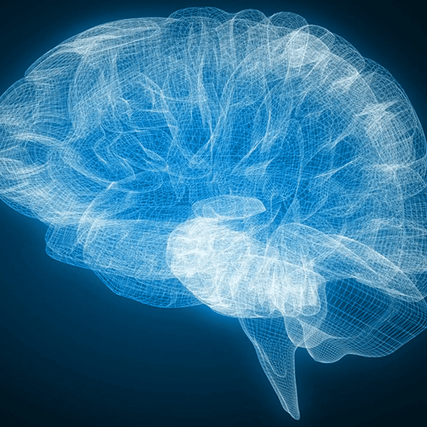Get in touch with Synaptek Deep Learning Solutions