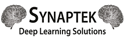 Synaptek – Deep Learning Solutions